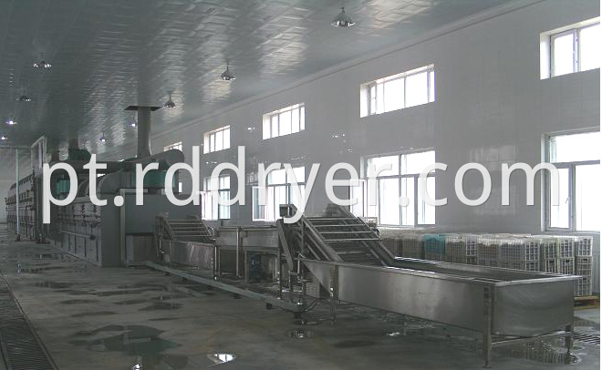 Mesh Belt Dryer/mushroom Dryer Machine